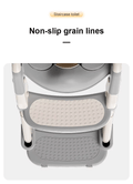 Potty Ladder Seat 3 in 1