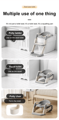 Potty Ladder Seat 3 in 1